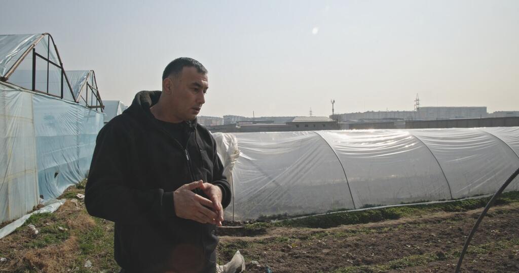 Побывав в Великобритании, Рустам решил изменить свой подход к выращиванию клубники.